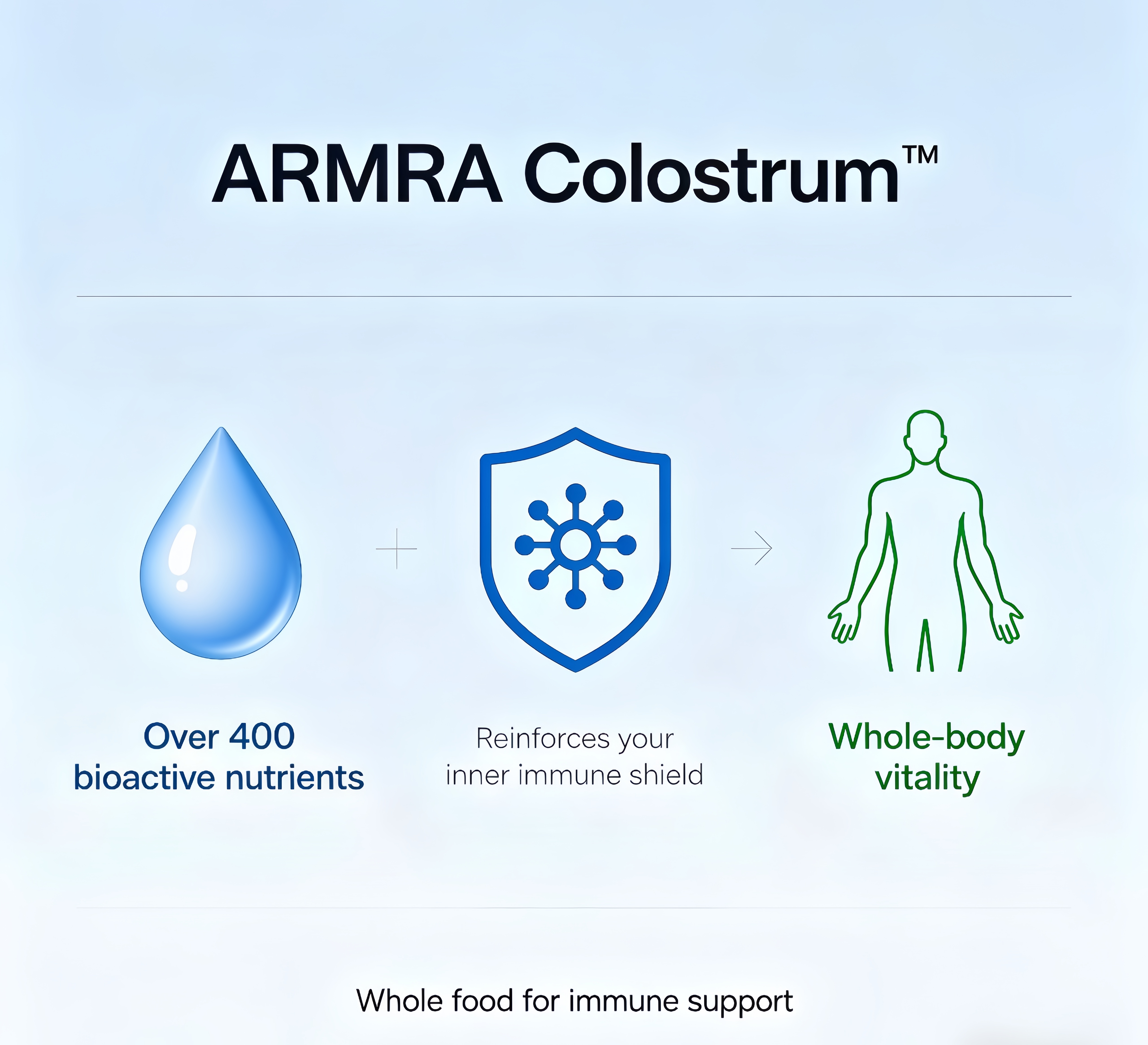 Immune barrier mechanism diagram